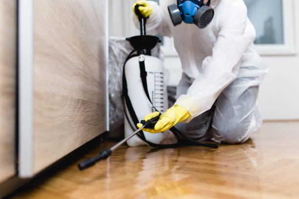 Best Wasp Removal Services  in Wyanet, IL