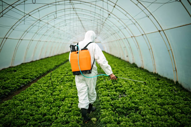 Best Best Pest Control Companies  in Wyanet, IL