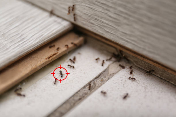 Pest Control Cost in Wyanet, IL