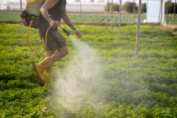 Best Best Pest Control Companies  in Wyanet, IL