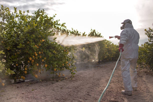 Pest Control for Restaurants in Wyanet, IL