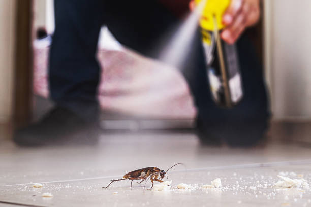 Best Pest Removal Services  in Wyanet, IL