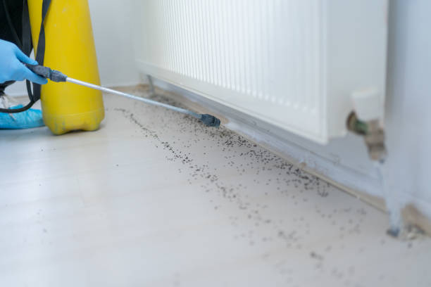 Best Residential Pest Control  in Wyanet, IL
