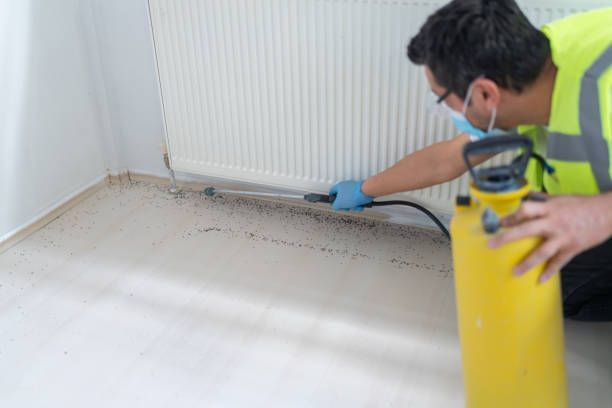 Best Ant Control Services  in Wyanet, IL