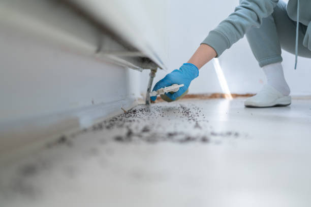 Trusted Wyanet, IL Pest Control Experts